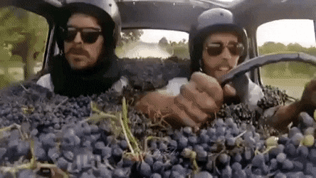 Acid Gifdump, July 15 (25 gifs)