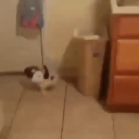Acid Gifdump, July 15 (25 gifs)