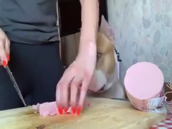 Must Control Myself