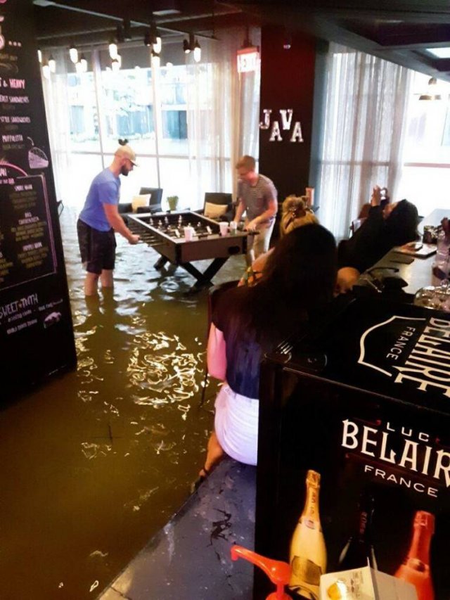Sh*t Happens (49 pics)