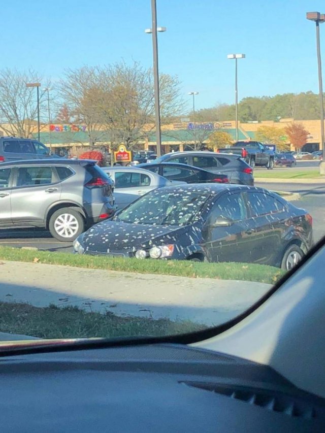 Sh*t Happens (49 pics)