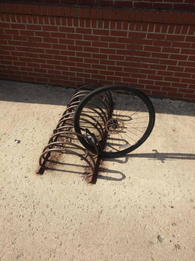 Sh*t Happens (49 pics)