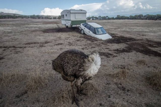 Sh*t Happens (49 pics)