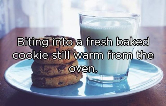The Best Feelings In The World (21 pics)