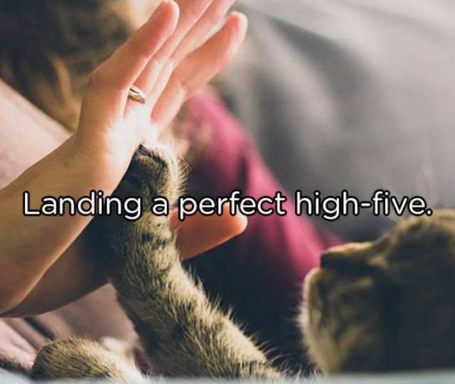 The Best Feelings In The World (21 pics)