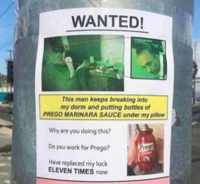 Funny Pictures (48 pics)