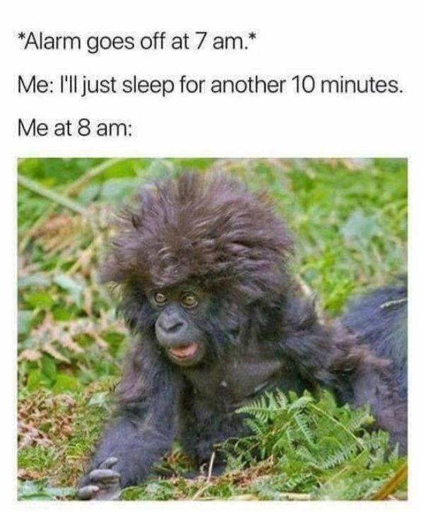 Funny Pictures (48 pics)