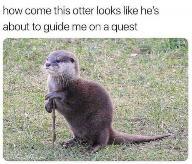 Funny Pictures (48 pics)