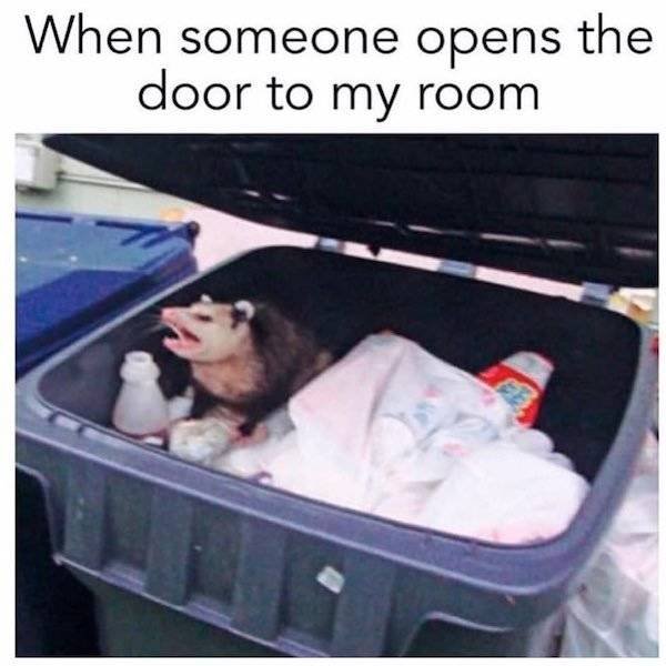 Funny Pictures (48 pics)