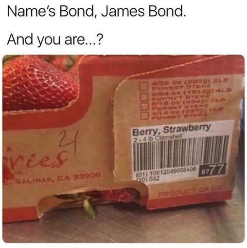 Funny Pictures (48 pics)