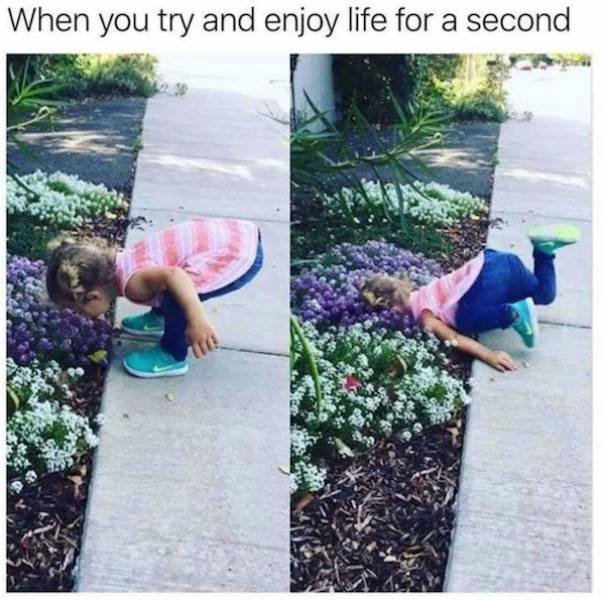 Funny Pictures (48 pics)