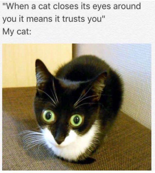 Funny Pictures (48 pics)