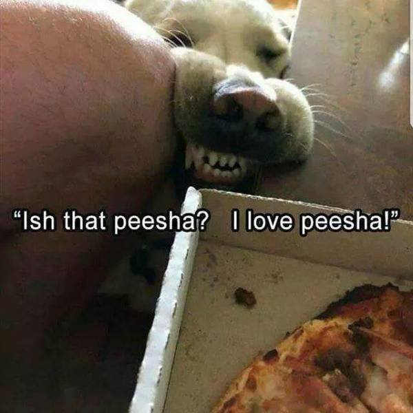 Funny Pictures (48 pics)