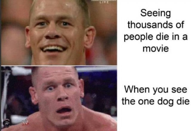 Funny Pictures (48 pics)