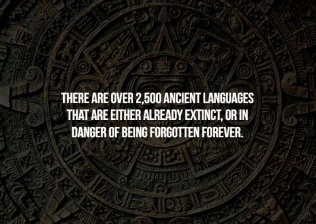 Creepy Facts (17 pics)