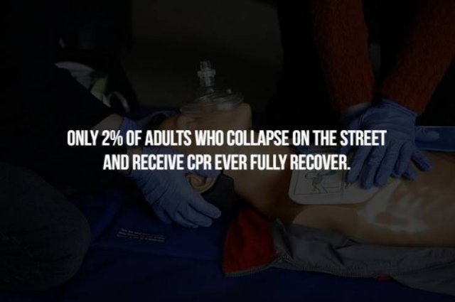 Creepy Facts (17 pics)