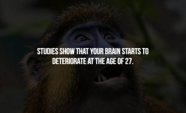 Creepy Facts (17 pics)