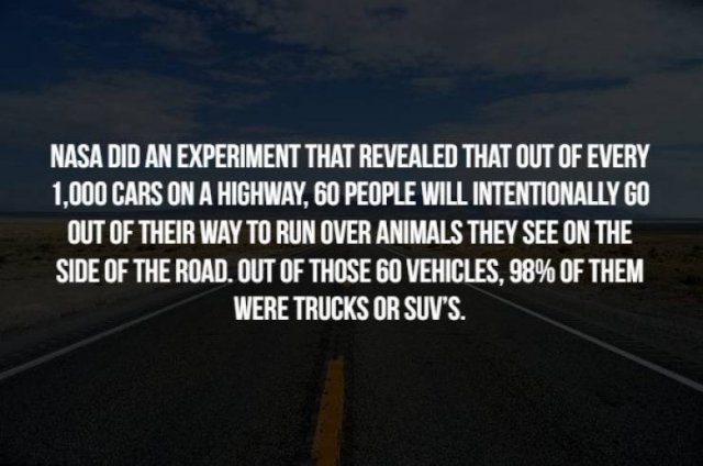 Creepy Facts (17 pics)