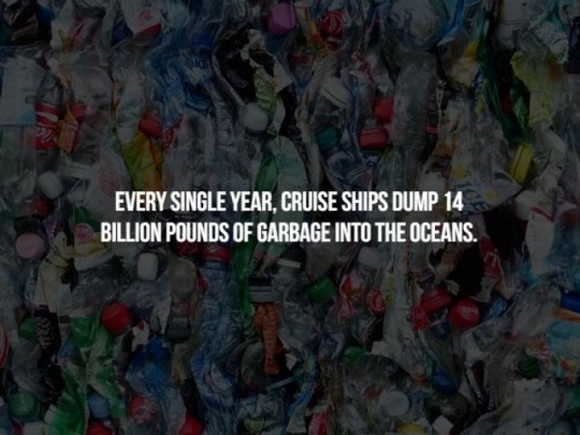 Creepy Facts (17 pics)