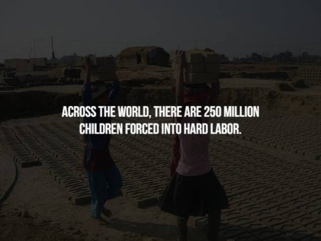 Creepy Facts (17 pics)