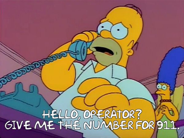 The Best Of Homer Simpson (30 pics)