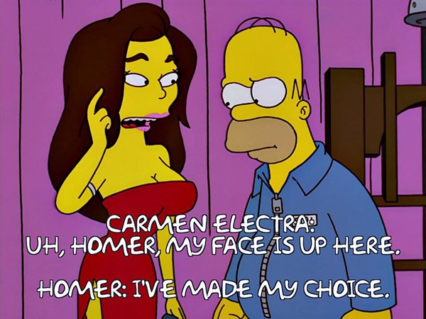 The Best Of Homer Simpson (30 pics)