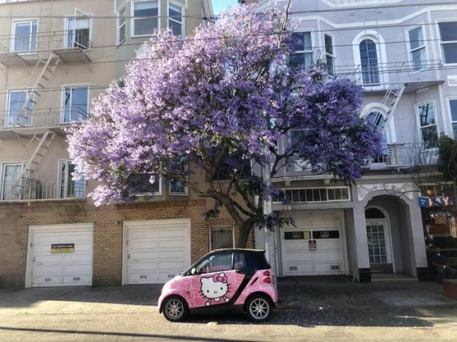 Acid Picdump. Part 2 (95 pics)