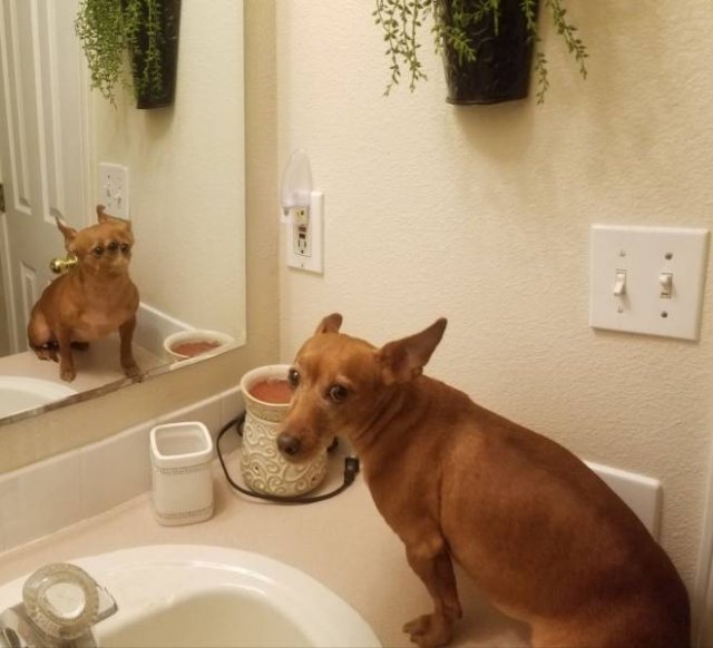 Acid Picdump. Part 2 (95 pics)
