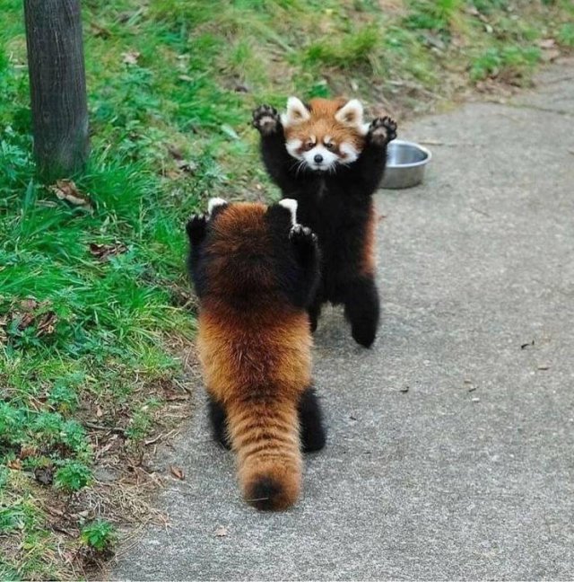 Acid Picdump. Part 2 (95 pics)