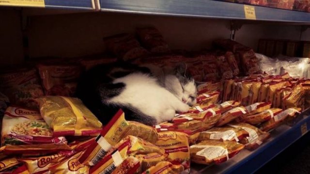 Acid Picdump. Part 2 (95 pics)