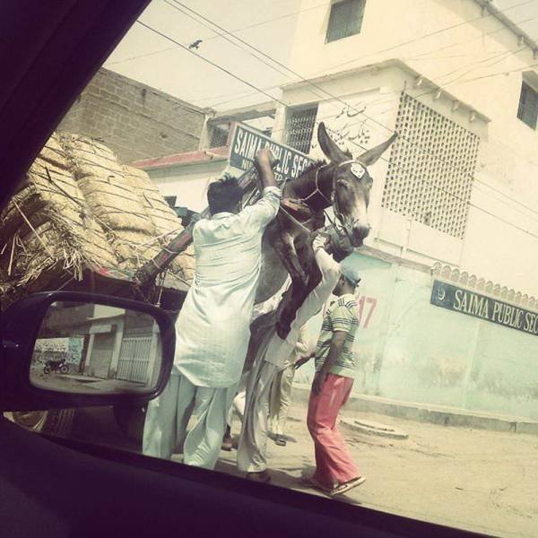 Acid Picdump. Part 2 (95 pics)