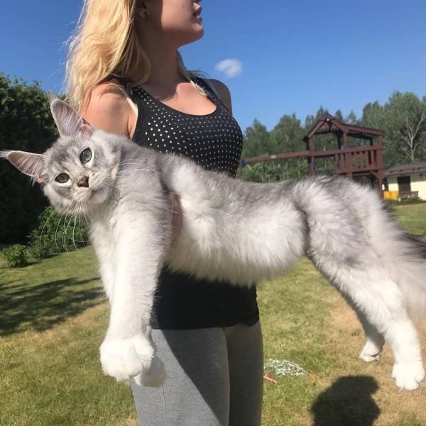 Acid Picdump. Part 2 (95 pics)