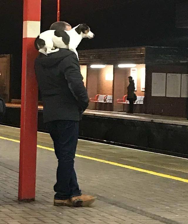 Acid Picdump. Part 1 (98 pics)