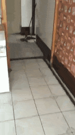 Acid Gifdump, July 16 (25 gifs)