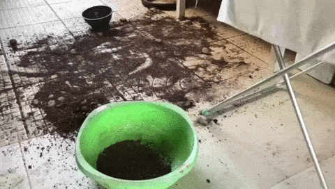 Acid Gifdump, July 16 (25 gifs)