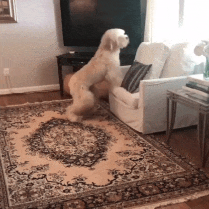 Acid Gifdump, July 16 (25 gifs)