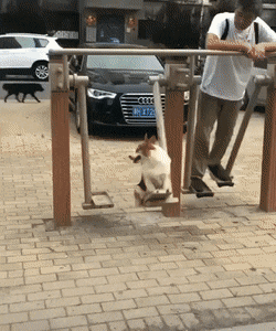 Acid Gifdump, July 16 (25 gifs)