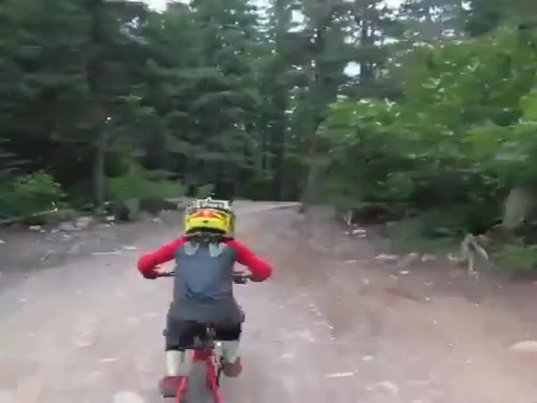 Dad Is His Biggest Fan
