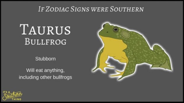 If Zodiac Signs Were Southern (14 pics)