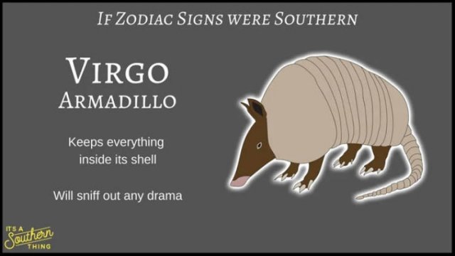 If Zodiac Signs Were Southern (14 pics)