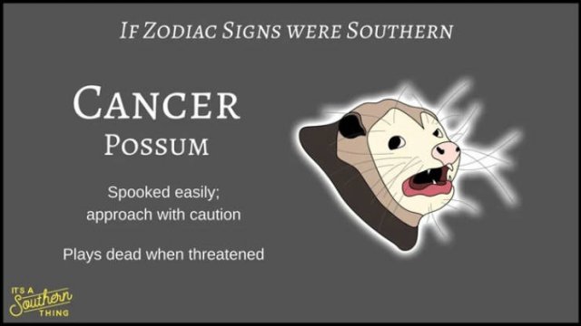 If Zodiac Signs Were Southern (14 pics)