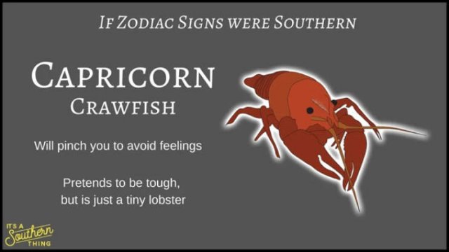 If Zodiac Signs Were Southern (14 pics)