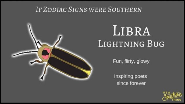 If Zodiac Signs Were Southern (14 pics)