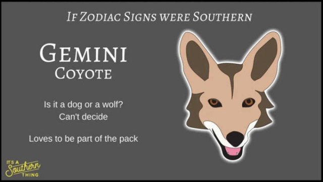 If Zodiac Signs Were Southern (14 pics)