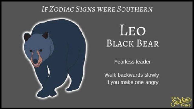 If Zodiac Signs Were Southern (14 pics)