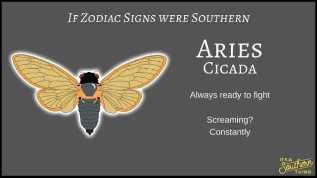 If Zodiac Signs Were Southern (14 pics)