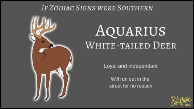 If Zodiac Signs Were Southern (14 pics)