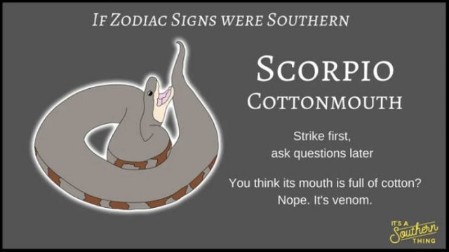 If Zodiac Signs Were Southern (14 pics)