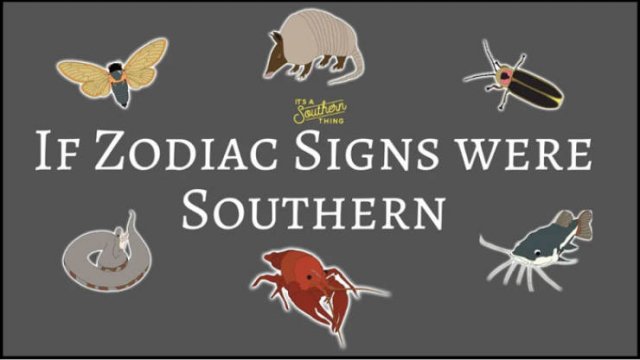 If Zodiac Signs Were Southern (14 pics)