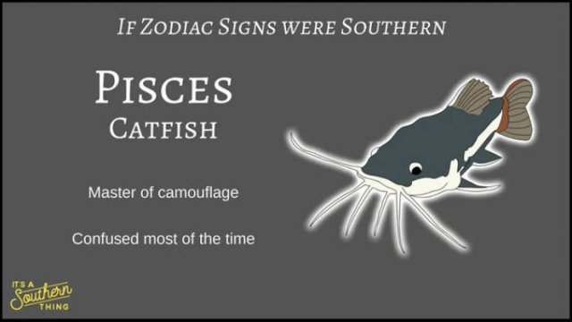 If Zodiac Signs Were Southern (14 pics)